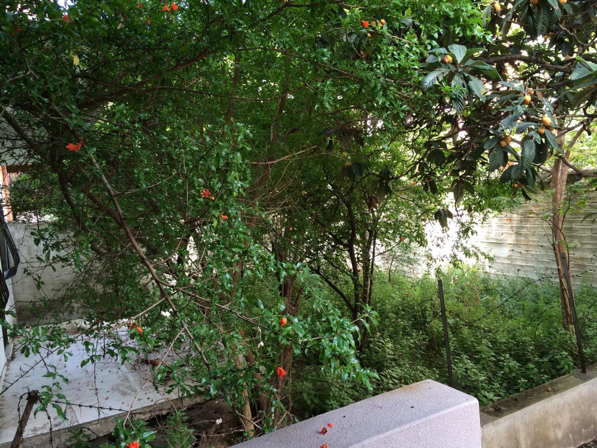 Konakli Apartments İzmir Dış mekan fotoğraf